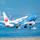 空飛ぶジンベエ