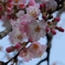 20100323