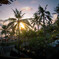 Sunset in Bali
