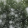 水玉の中の世界
