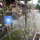 DSC01498