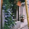 きれいな花壇