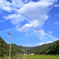 雨通り