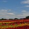 那須フラワーワールド