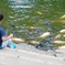 穏やかなひと時