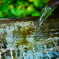 水