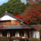 yamanonaka