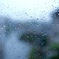 雨跡