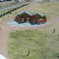 DSCN0377
