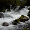 DSCN0589
