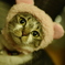 こゆの好きニャ(^^)/