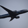 787ロゴ機