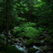 中山道２