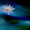 蒼い夜を纏って