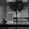 ルイヴィトンと自転車