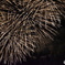 HANABI