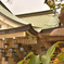 神社