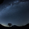 Starmourn