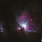 Orion　Nebula