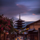 [ The Beauty of Kyoto ] 