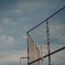  Back net