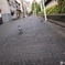 鳩友集会
