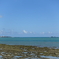 瀬長島