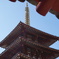 とう
