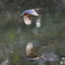 水面に