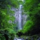 東椎屋の滝