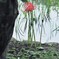 水辺の彼岸花②