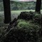 雨上がり