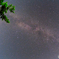 DSCF0221
