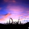夕焼け空