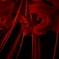 DSCF2008