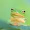 何か用？