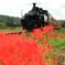 里山トロッコ列車