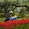 姫、よみがえりの接吻を・・。