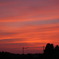 DSC_5823