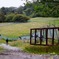 DSC06133
