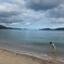 海を見たか？