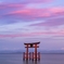 夕暮れ/琵琶湖に浮かぶ鳥居
