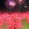 花のごとく火のごとく