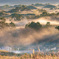 Morning mist