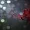 20180921042346__MG_3852