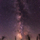 天の川と夜風に揺れるススキ