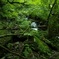 鳥取  雨滝