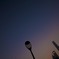 高層ビルより目立つ。