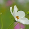 P9300985