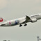 JALドラえもんジェット（B787）